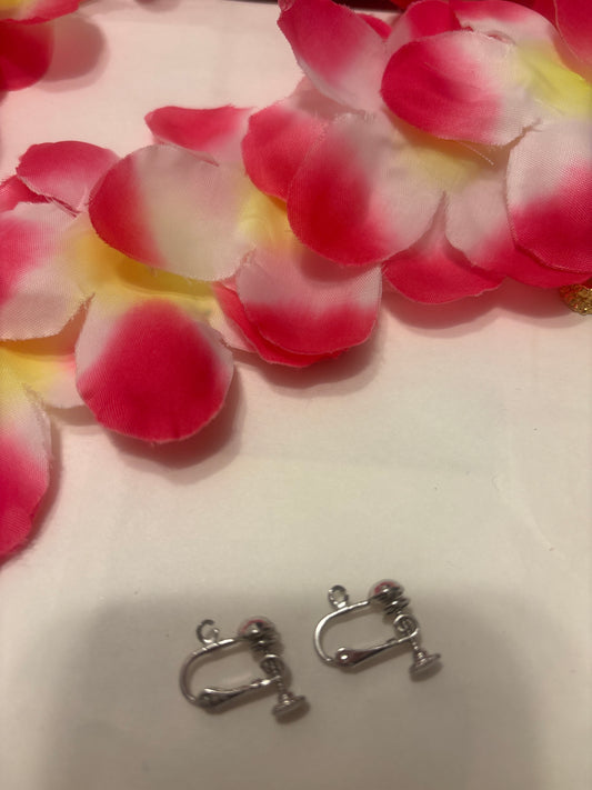 silver earrings